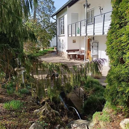 Ferienwohnung Waldblick باد درهيم المظهر الخارجي الصورة